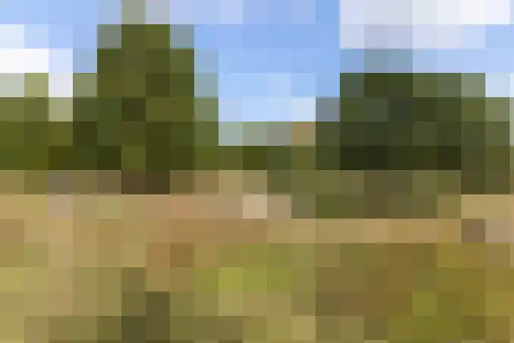 Chopinlaan 73 Apeldoorn thumbnail 7