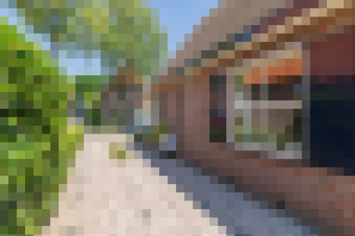 Chopinlaan 8 Apeldoorn thumbnail 13