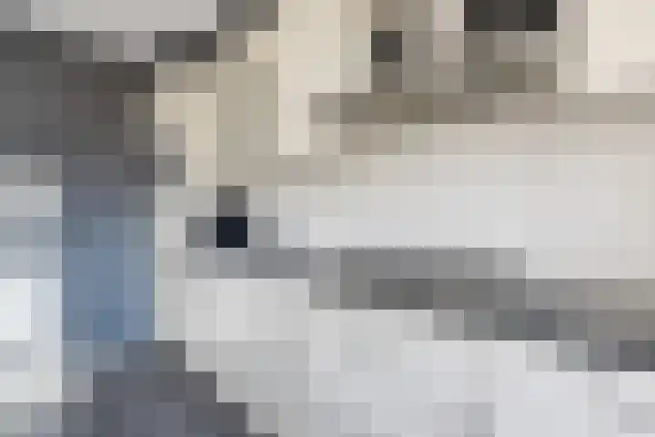 Chopinlaan 8 Voorthuizen thumbnail 11