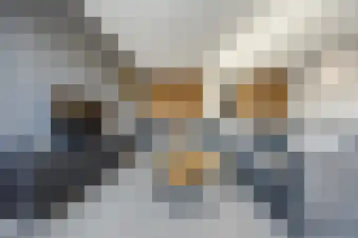 Chopinlaan 8 Voorthuizen thumbnail 16
