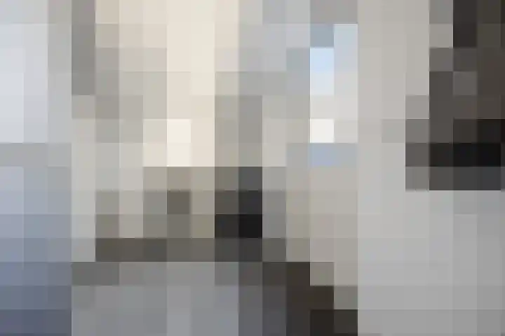 Chopinlaan 8 Voorthuizen thumbnail 18