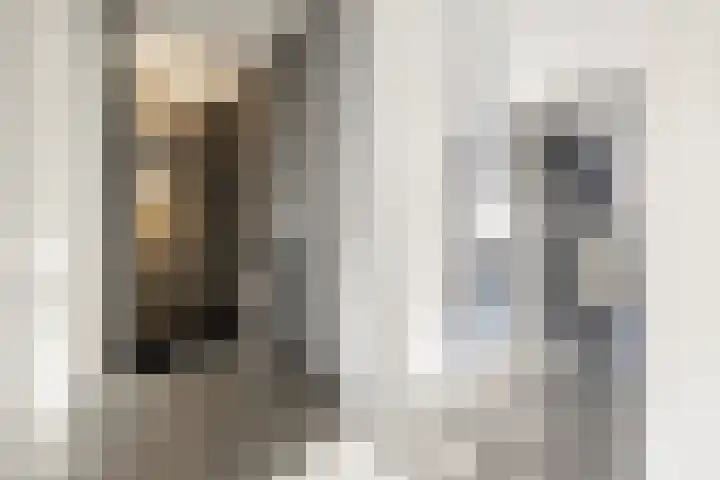 Chopinlaan 8 Voorthuizen thumbnail 19