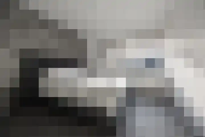 Chopinlaan 8 Voorthuizen thumbnail 22