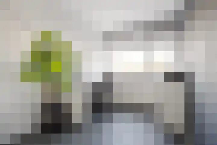 Chopinlaan 8 Voorthuizen thumbnail 27