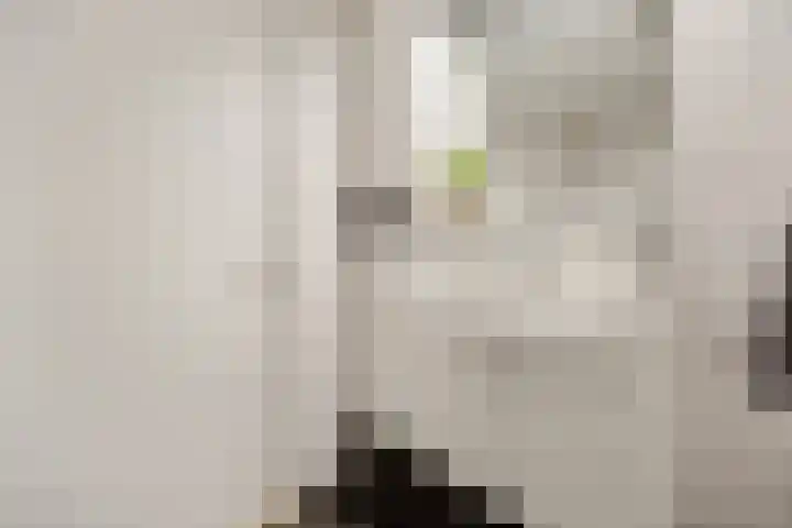Chopinlaan 8 Voorthuizen thumbnail 30