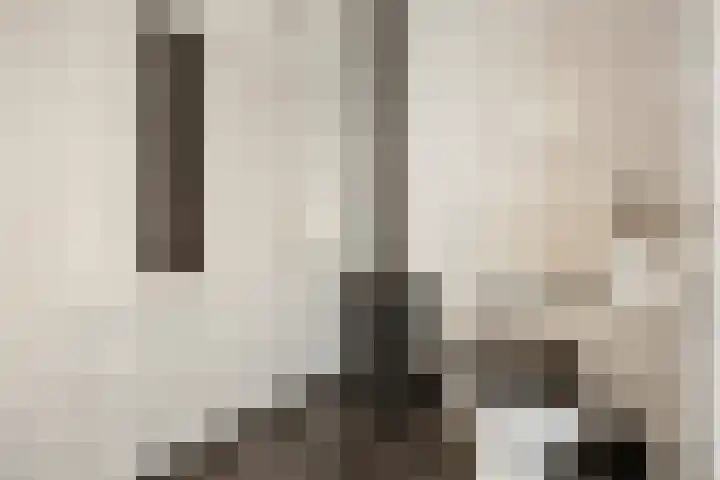 Chopinlaan 8 Voorthuizen thumbnail 31