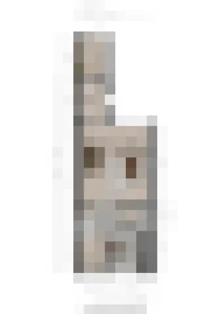 Chopinlaan 8 Voorthuizen thumbnail 40