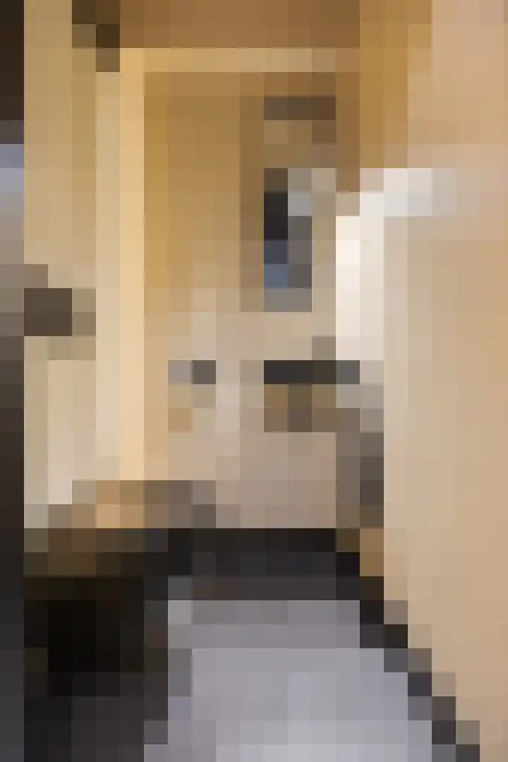 Chopinlaan 8 Voorthuizen thumbnail 8