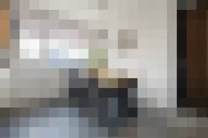 Chopinlaan 8 Voorthuizen thumbnail 9