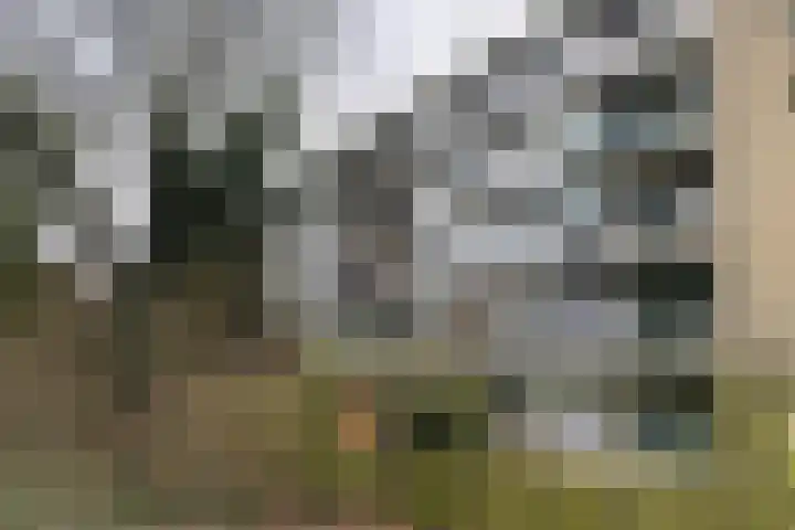 Chopinlaan 94 in Delft