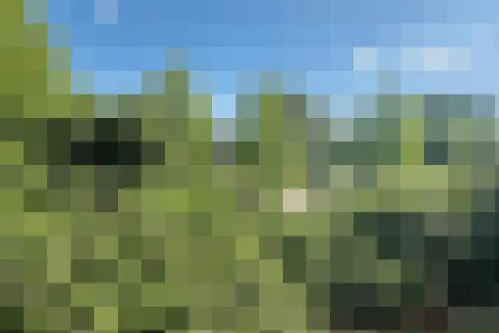 Chopinlaan 94 Delft thumbnail 16