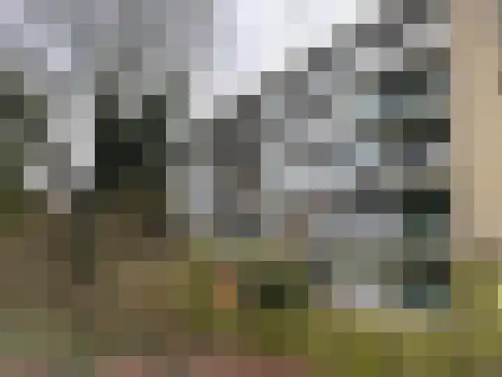 Chopinlaan 94 Delft thumbnail 21