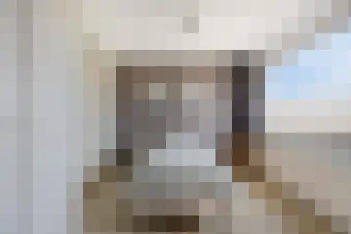 Chopinlaan 95 Terneuzen thumbnail 16
