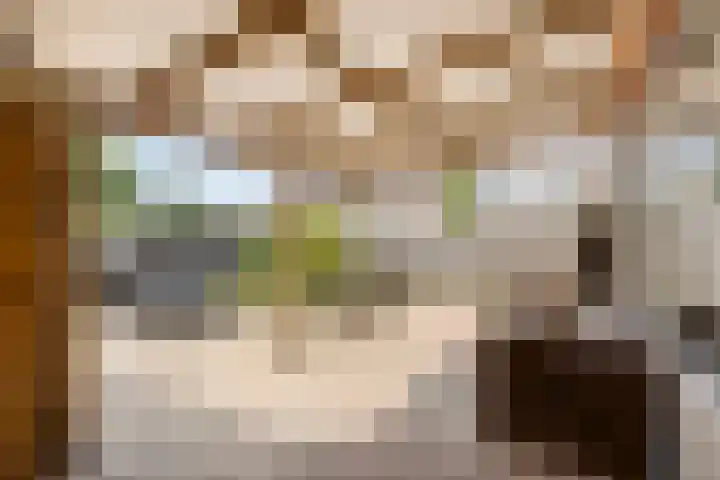 Chopinlaan 95 Terneuzen thumbnail 22