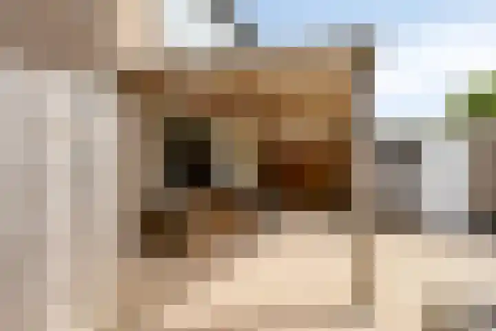 Chopinlaan 95 Terneuzen thumbnail 23