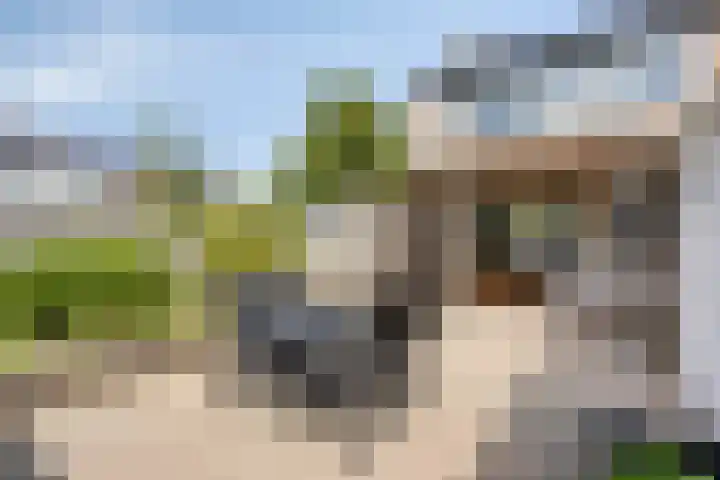 Chopinlaan 95 Terneuzen thumbnail 4