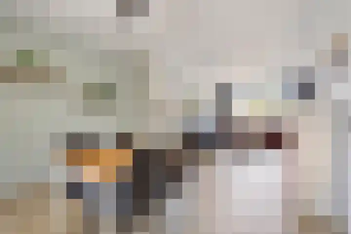 Chopinlaan 95 Terneuzen thumbnail 9