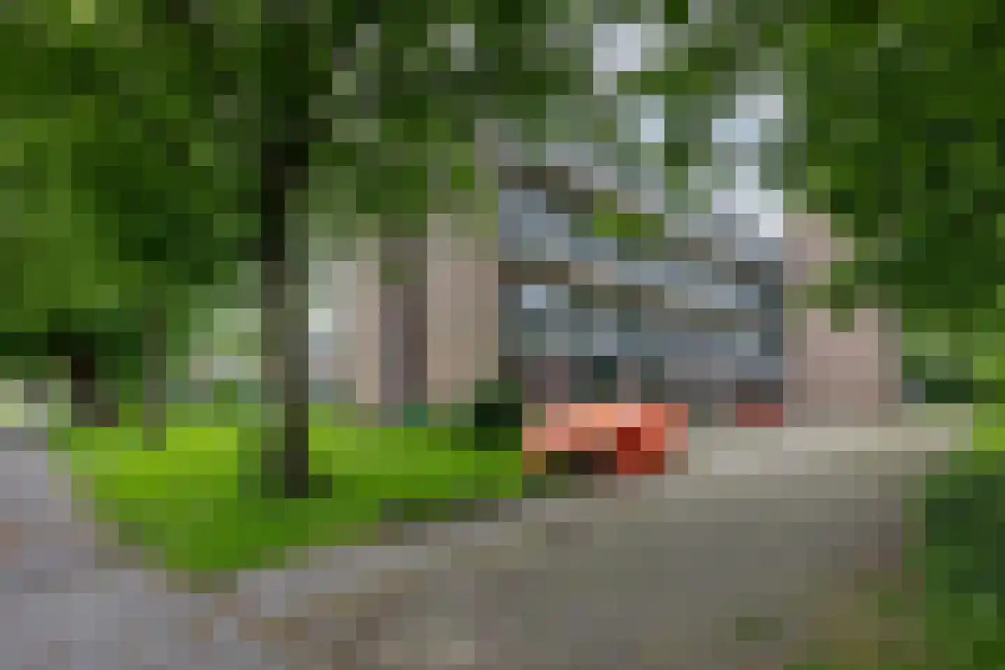 Chopinlaan 98 Voorschoten thumbnail 26