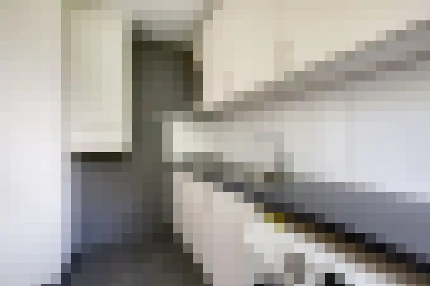 Chopinlaan 98 Voorschoten thumbnail 9