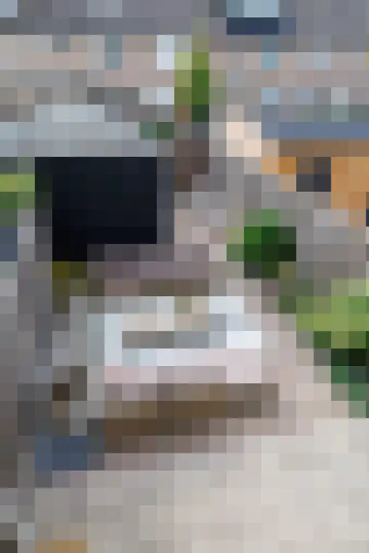 Chopinpad 40 Almere thumbnail 30