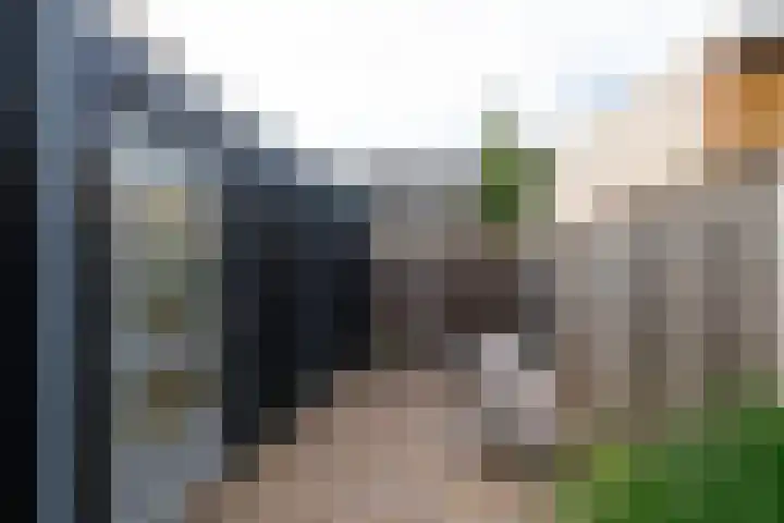 Chopinpad 40 Almere thumbnail 33