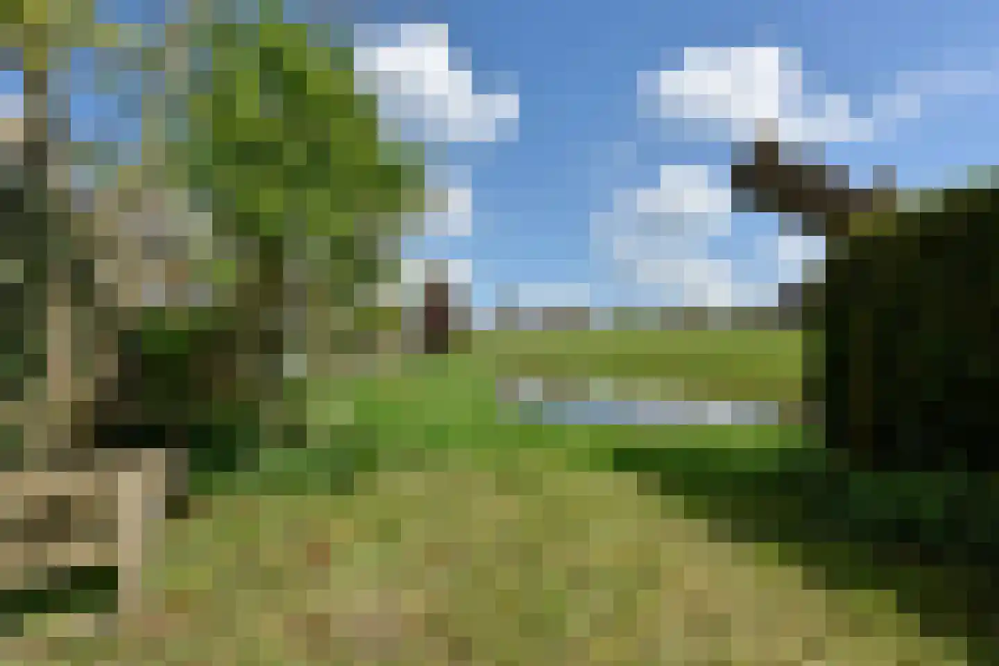 Chopinplein 1 Nieuwkoop thumbnail 25