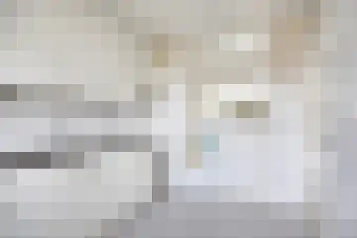 Chopinplein 120 Schiedam thumbnail 16