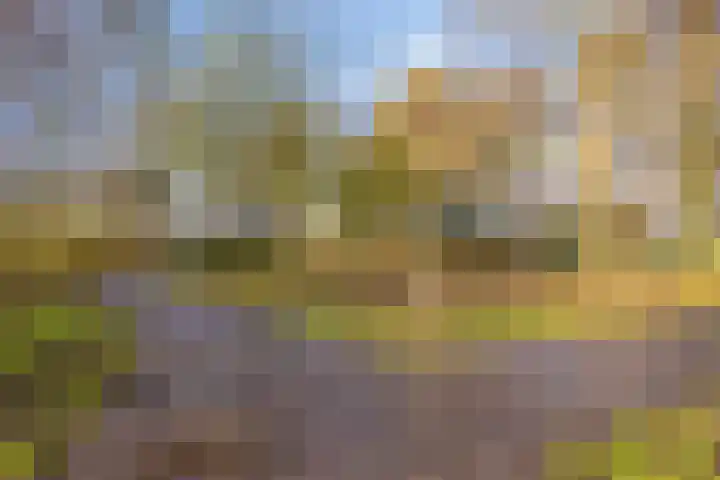 Chopinplein 120 Schiedam thumbnail 27