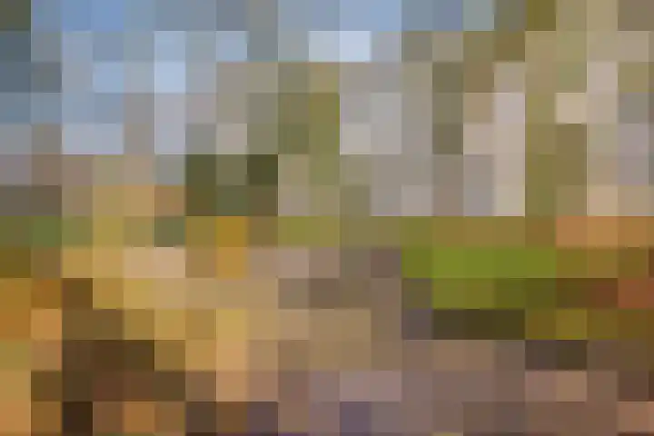 Chopinplein 120 Schiedam thumbnail 28