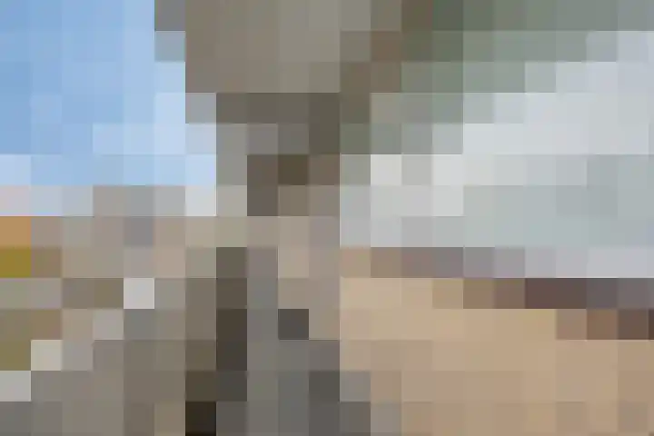Chopinplein 120 Schiedam thumbnail 4