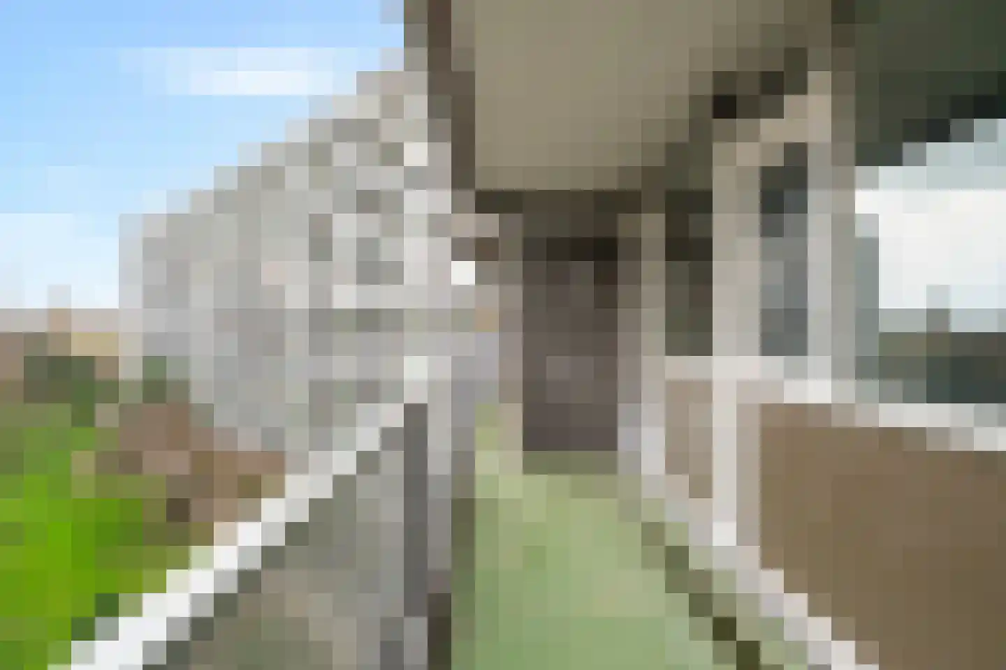 Chopinplein 134 Schiedam thumbnail 11