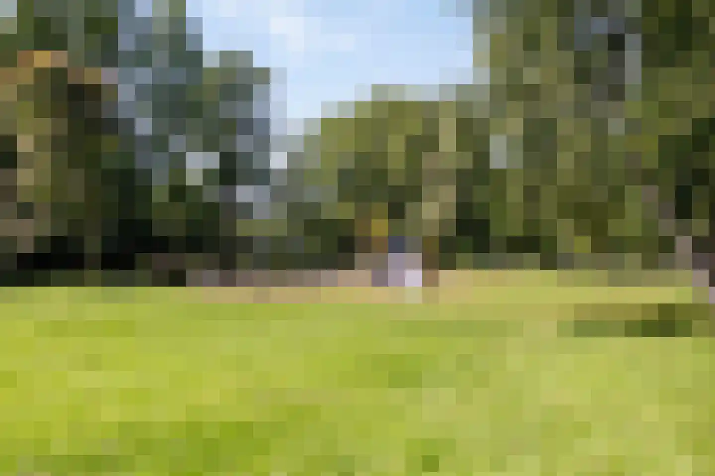 Chopinplein 143 Schiedam thumbnail 27