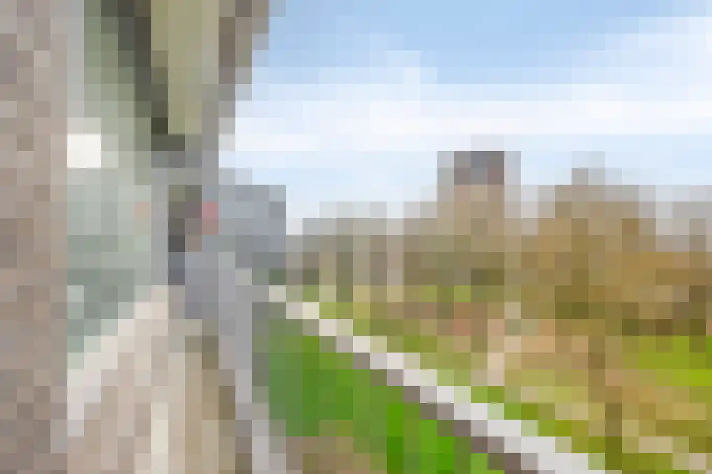 Chopinplein 145 Schiedam thumbnail 33