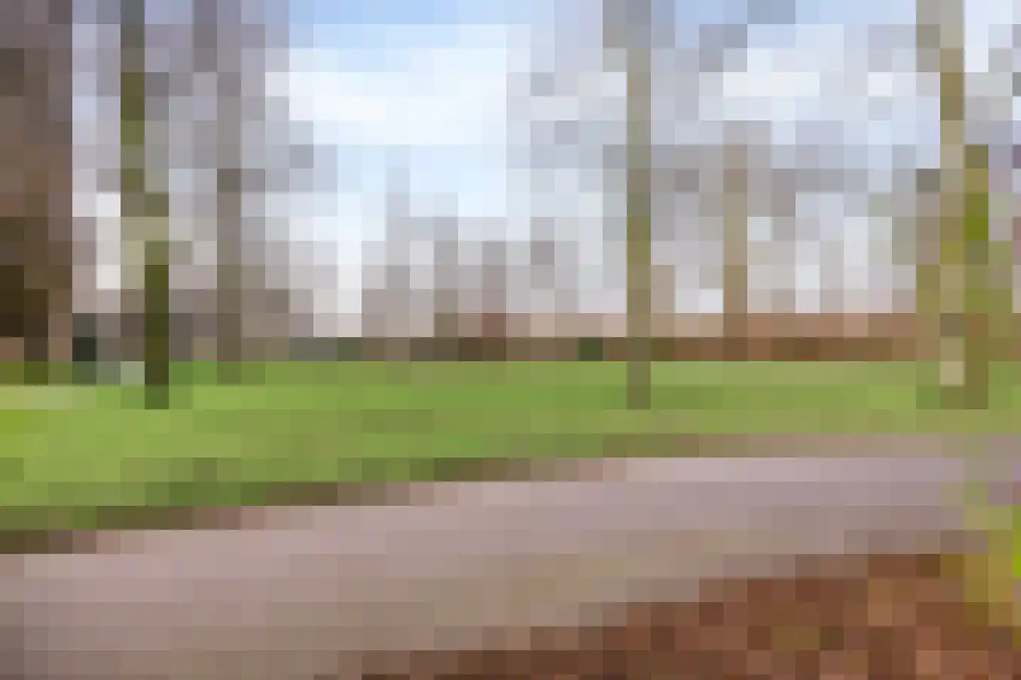 Chopinplein 145 Schiedam thumbnail 35