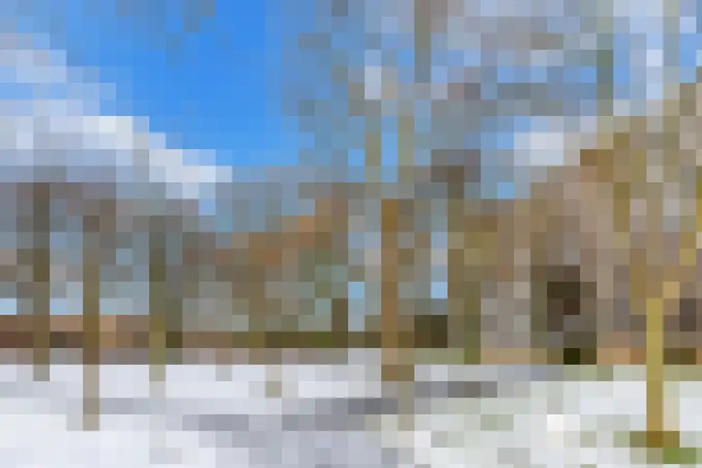 Chopinplein 154 Schiedam thumbnail 30