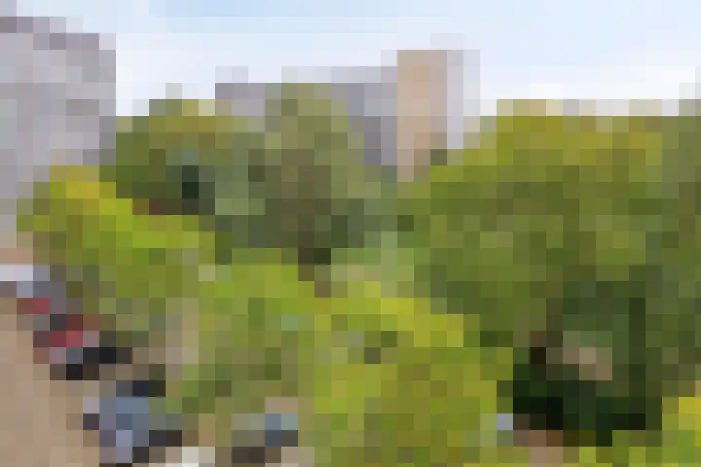 Chopinplein 161 Schiedam thumbnail 27