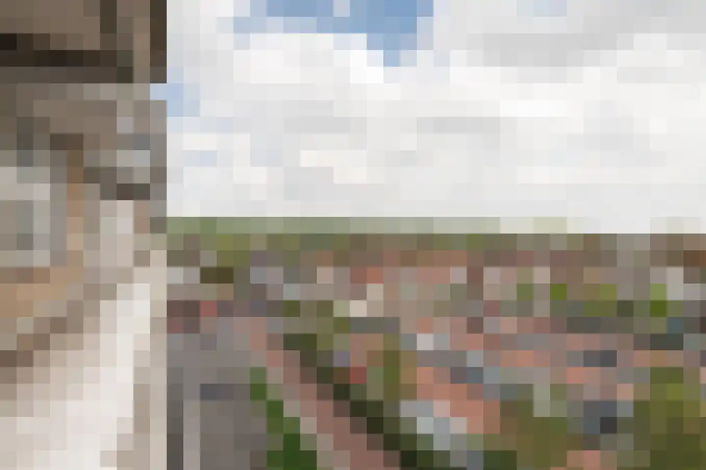Chopinplein 169 Culemborg thumbnail 23