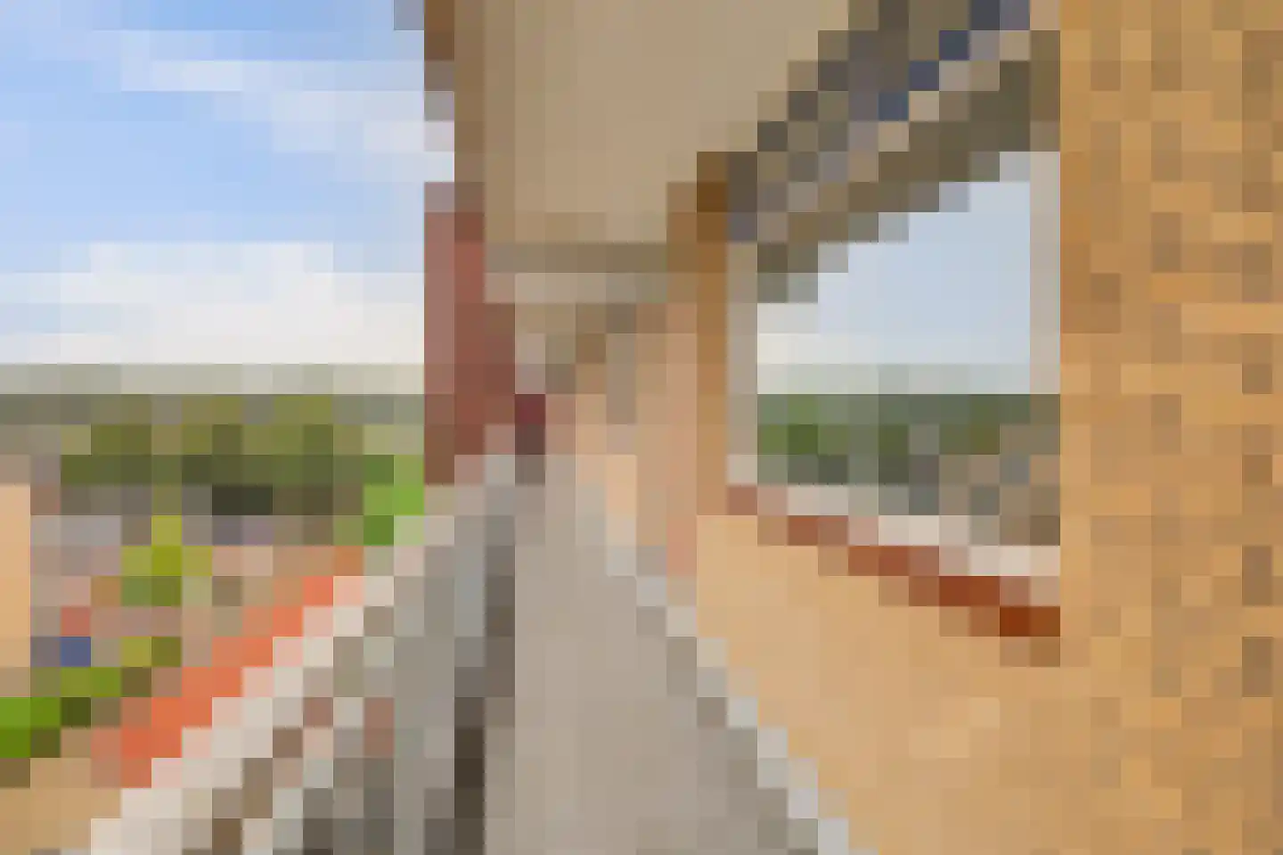 Chopinplein 175 Culemborg thumbnail 14