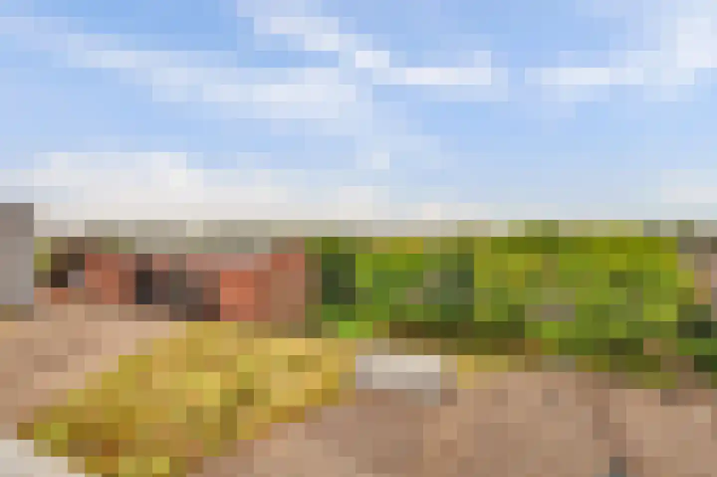 Chopinplein 175 Culemborg thumbnail 46