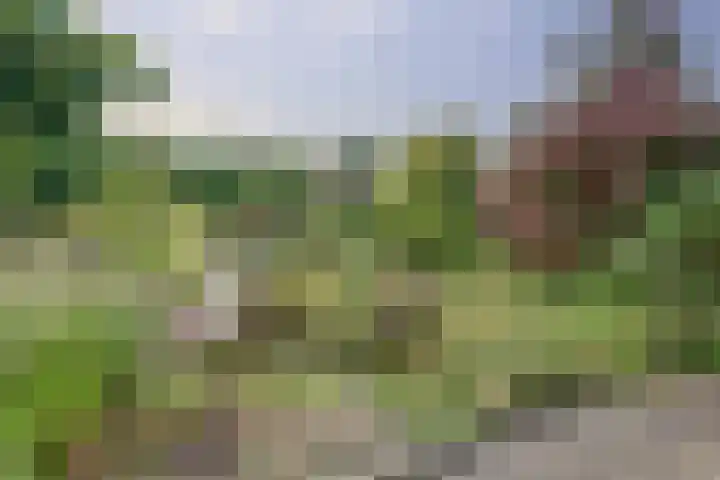Chopinplein 18 Enschede thumbnail 33