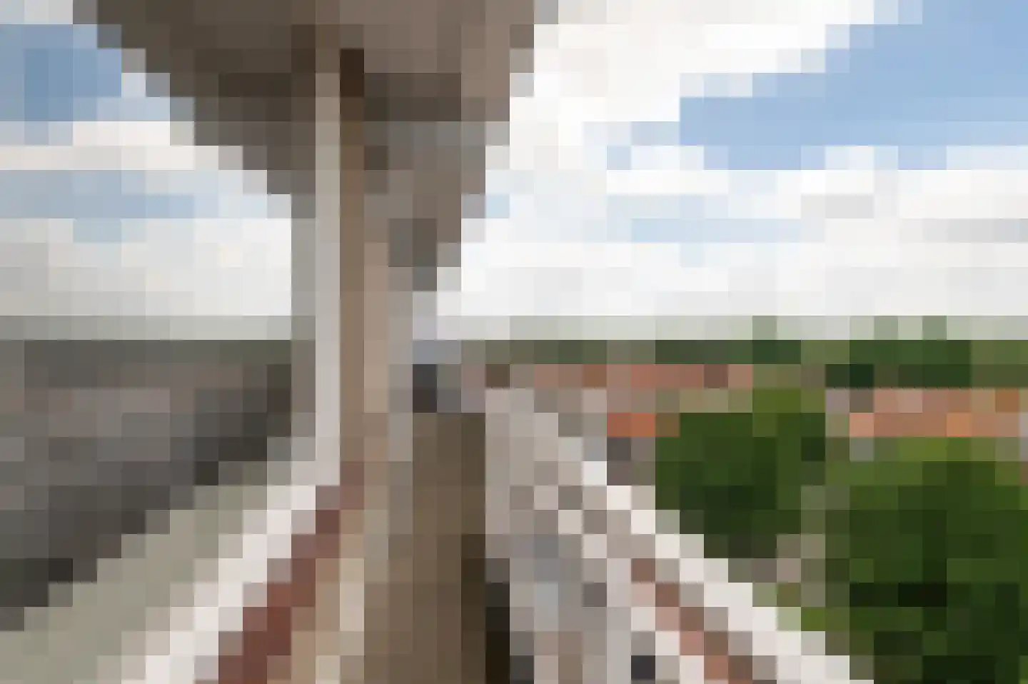 Chopinplein 183 Culemborg thumbnail 25