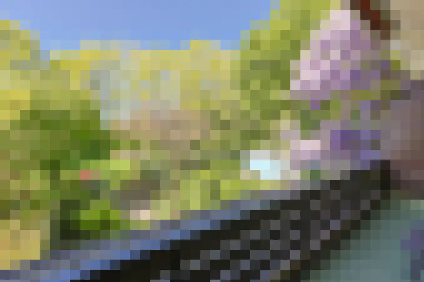 Chopinplein 19 Nieuwkoop thumbnail 20