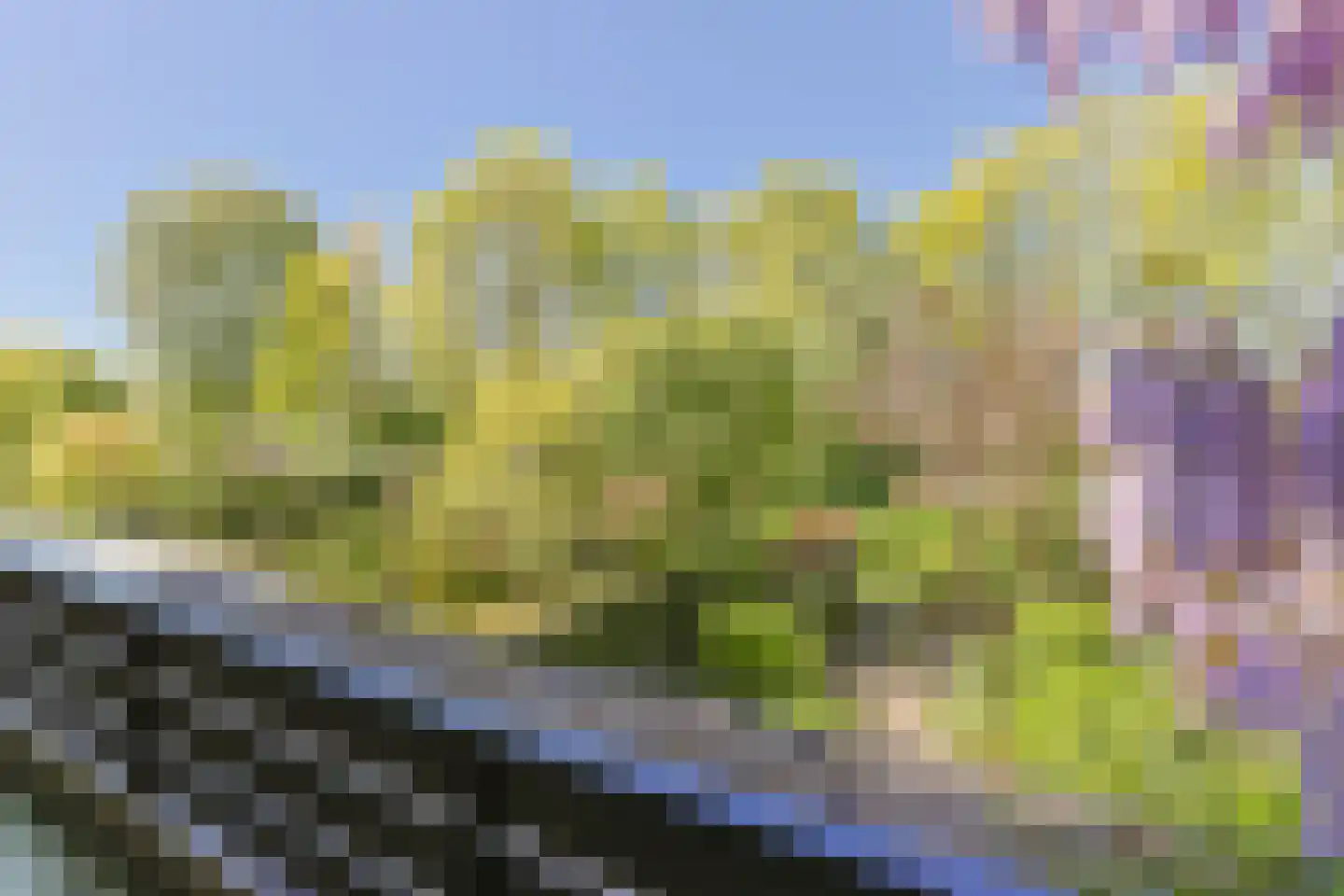 Chopinplein 19 Nieuwkoop thumbnail 22