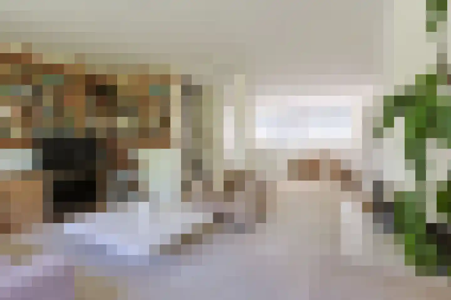 Chopinplein 19 Nieuwkoop thumbnail 23