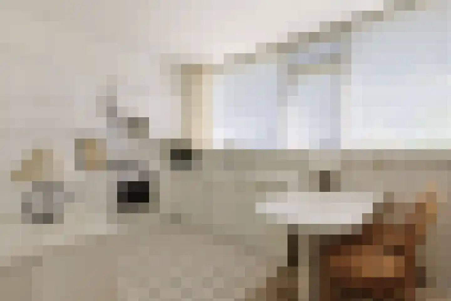 Chopinplein 19 Nieuwkoop thumbnail 26