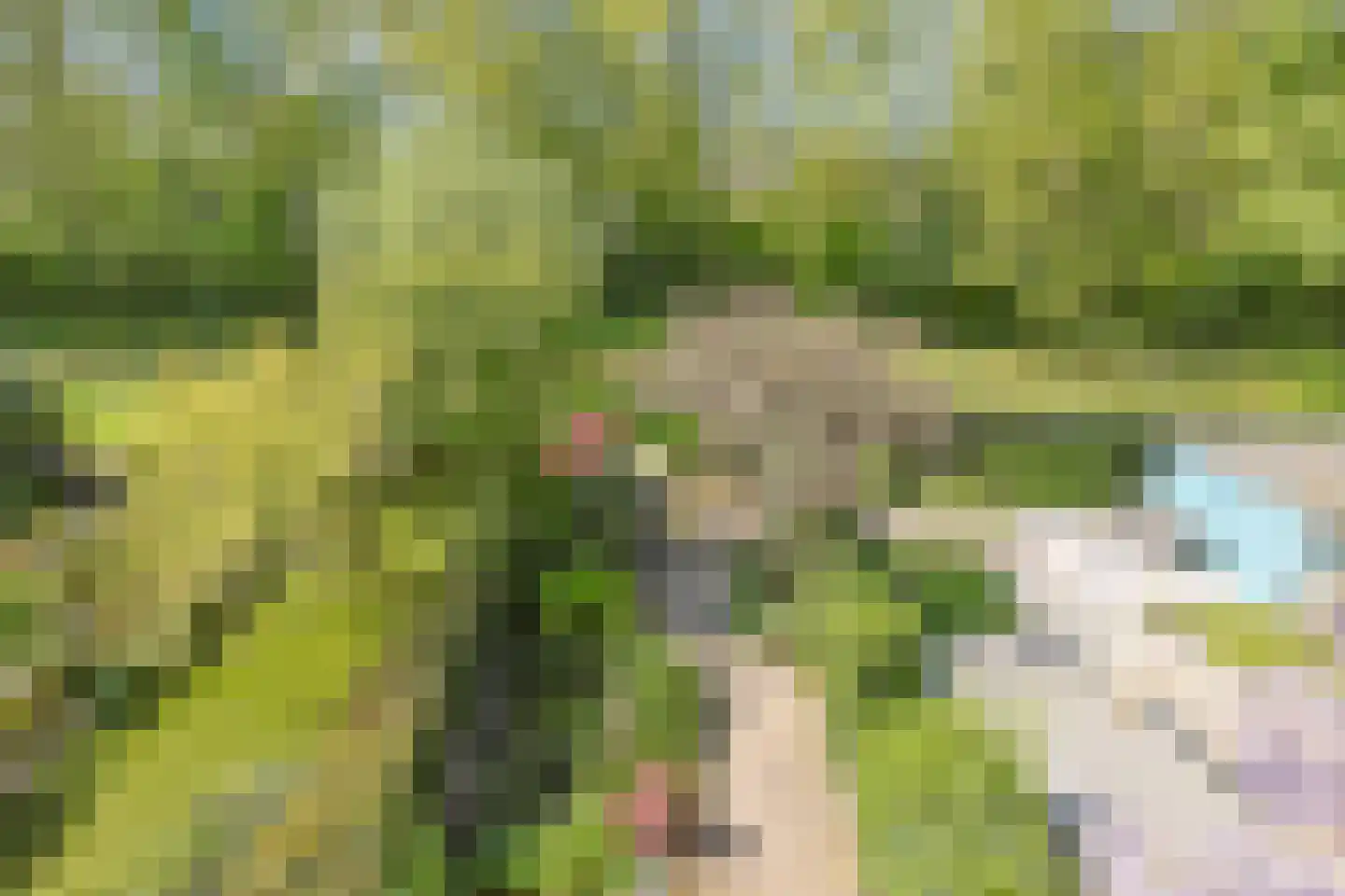 Chopinplein 19 Nieuwkoop thumbnail 34