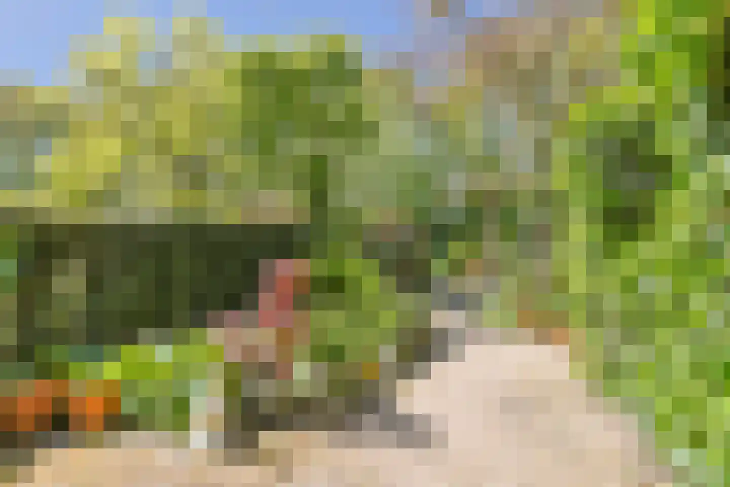 Chopinplein 19 Nieuwkoop thumbnail 4