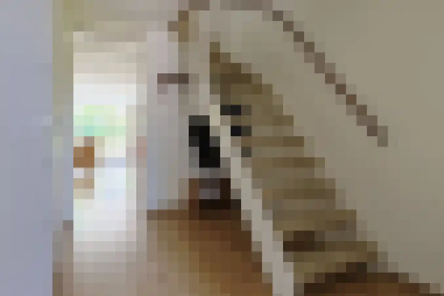 Chopinplein 19 Nieuwkoop thumbnail 8