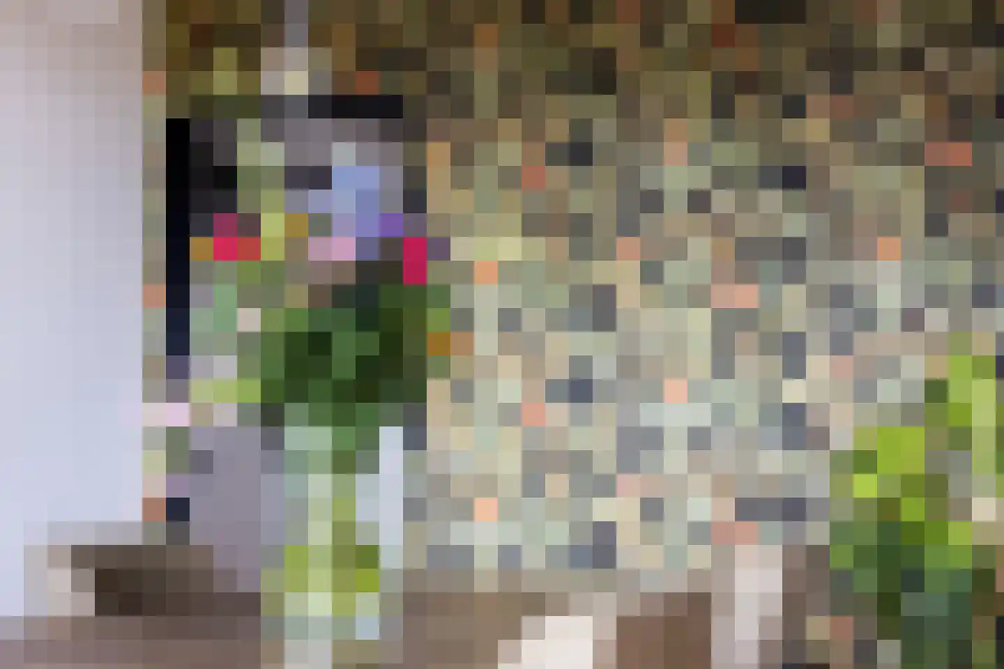 Chopinplein 192 Schiedam thumbnail 23