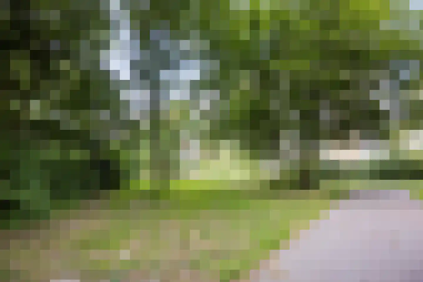 Chopinplein 192 Schiedam thumbnail 40